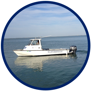 Boat on the Water