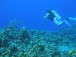Diver Video